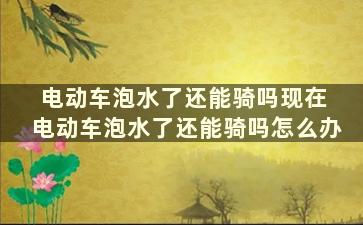 电动车泡水了还能骑吗现在 电动车泡水了还能骑吗怎么办